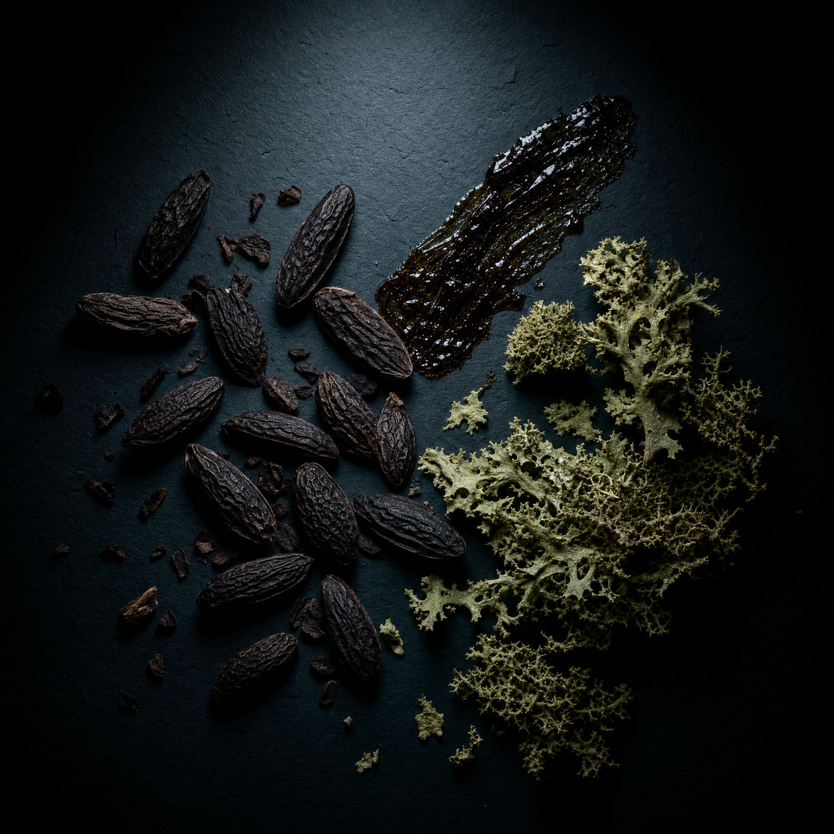 Lands - Tonka Bean, Civet, Oakmoss