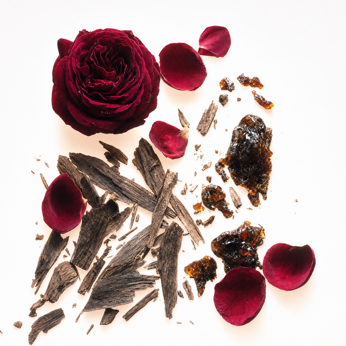 Turns - Bulgarian Rose, Oud, Labdanum