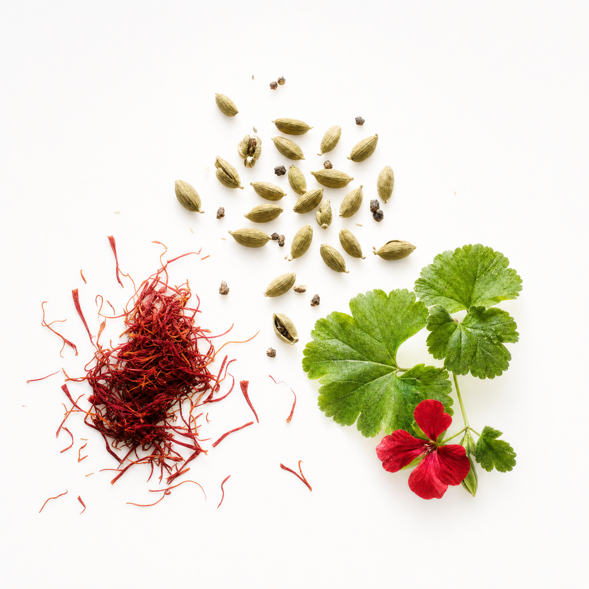 Turns - Cardamom, Saffron, Geranium