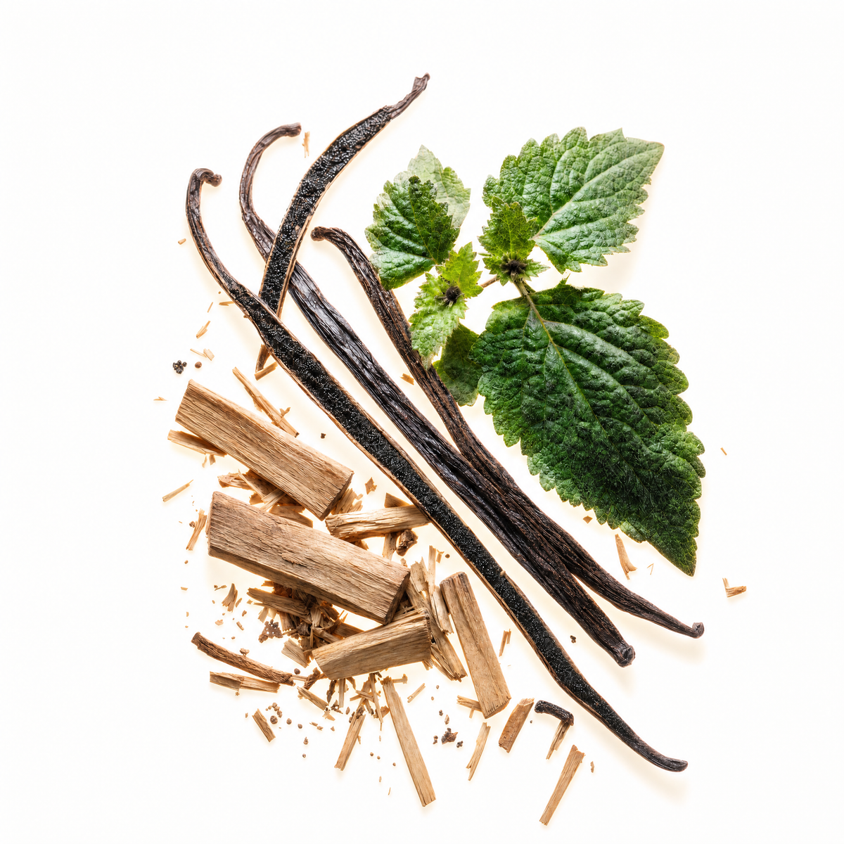 Lands - Vanilla, Patchouli, Sandalwood