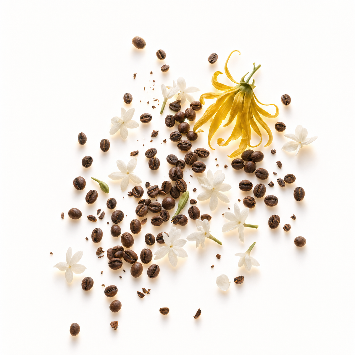 Turns - Coffee, Jasmine Sambac, Ylang Ylang