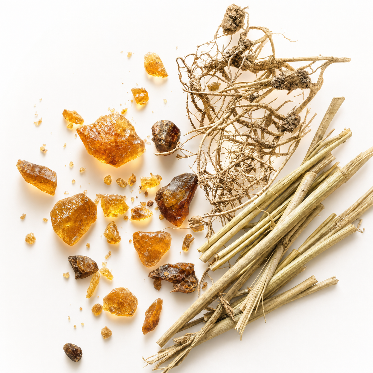 Lands - Amber, Nagarmotha, Papyrus